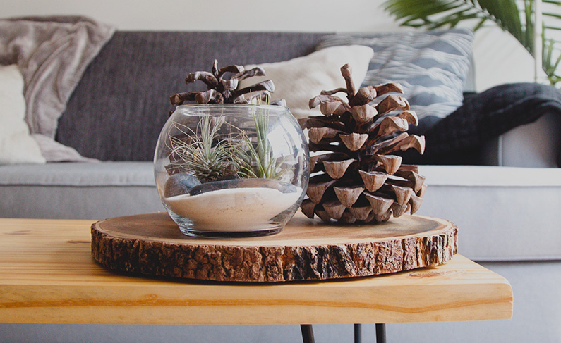 Rustic decor on a coffee table